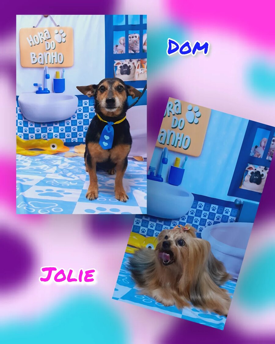 Arte do pet shop com os retratos de Dom e Jolie no cenário da Hora do Banho